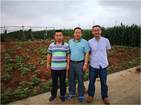 MILE米乐·(中国)集团