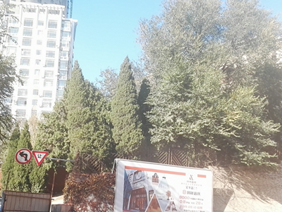 MILE米乐·(中国)集团