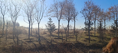 MILE米乐·(中国)集团