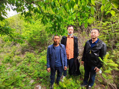 MILE米乐·(中国)集团