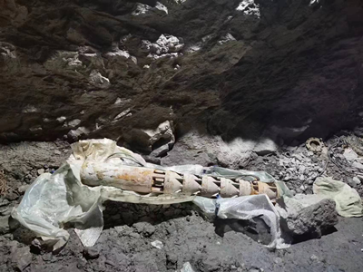 MILE米乐·(中国)集团