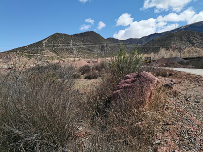 MILE米乐·(中国)集团