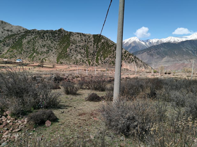 MILE米乐·(中国)集团