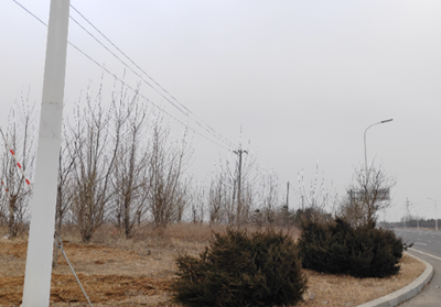 MILE米乐·(中国)集团