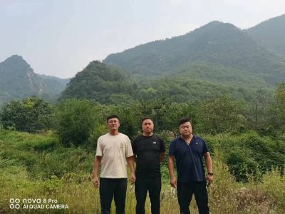 MILE米乐·(中国)集团