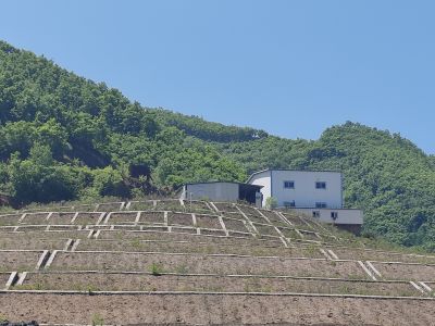 MILE米乐·(中国)集团