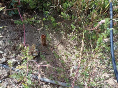 MILE米乐·(中国)集团