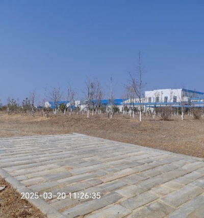 MILE米乐·(中国)集团